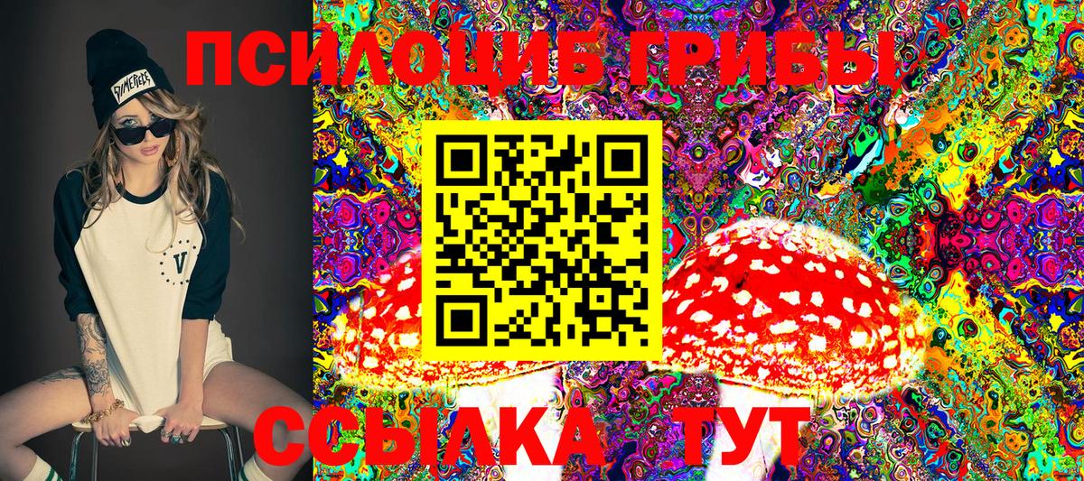 Северобайкальск  Псилоцибиновые грибы GOLDEN TEACHER  где найти   Вход с VPN 