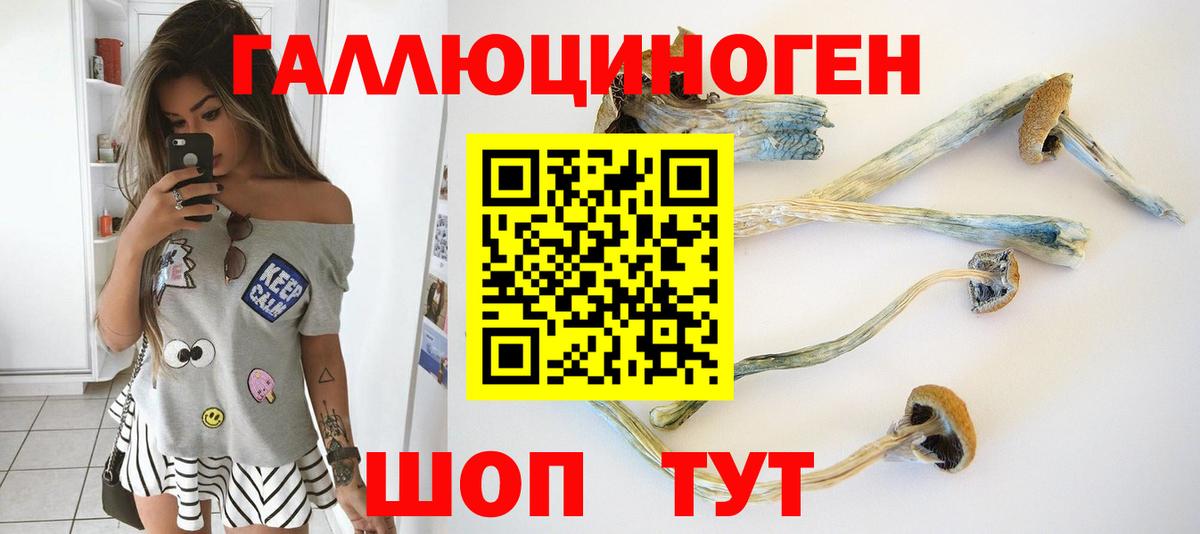Галлюциногенные грибы Cubensis Северобайкальск